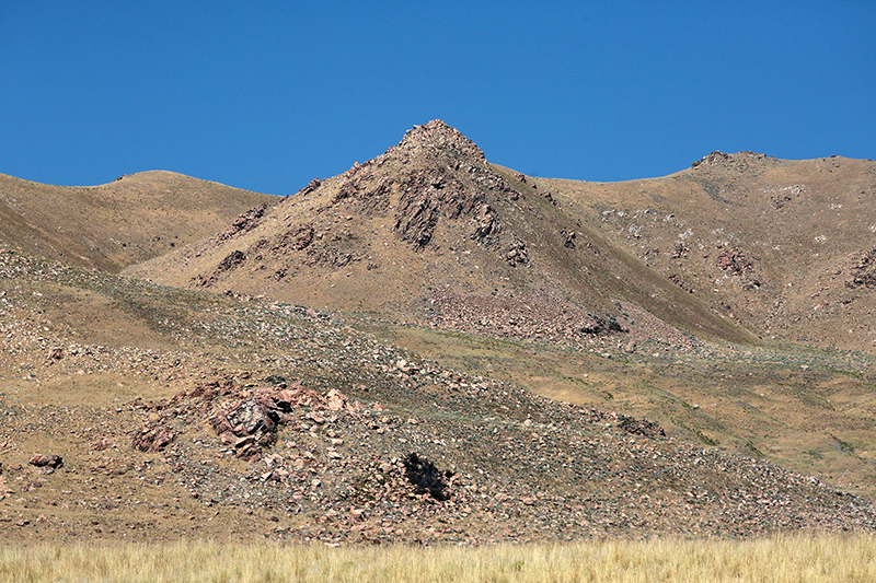 Bison : Antelope Island : Utah : Landscape Photos : Richard Moore : Photographer